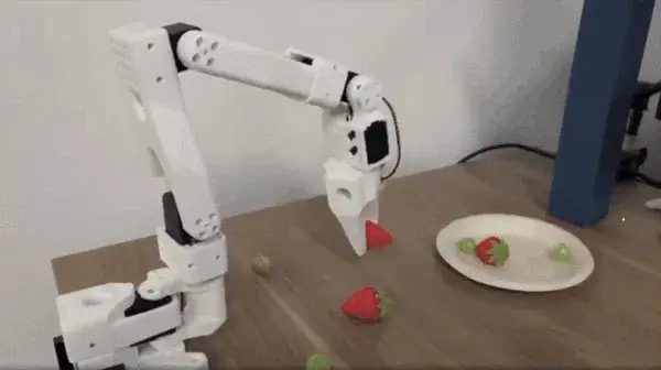 Low-cost arm learning fine manipulation